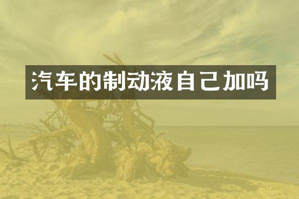 汽车的制动液自己加吗