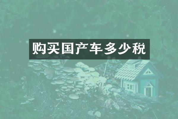 购买国产车多少税