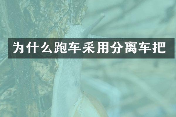 为什么跑车采用分离车把