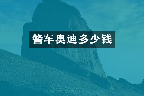 警车奥迪多少钱