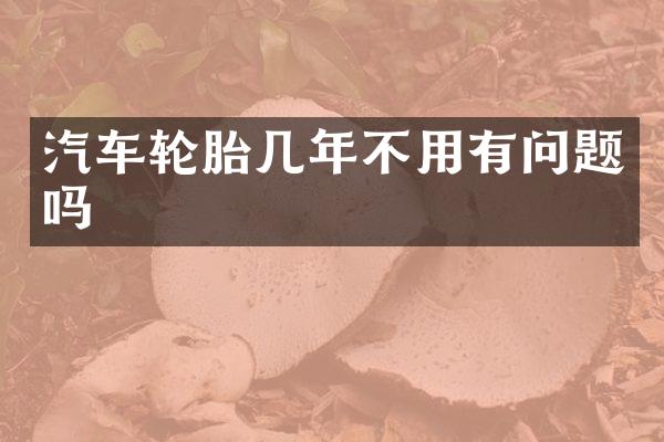 汽车轮胎几年不用有问题吗
