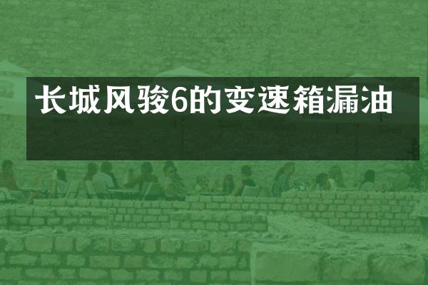 长城风骏6的变速箱漏油吗