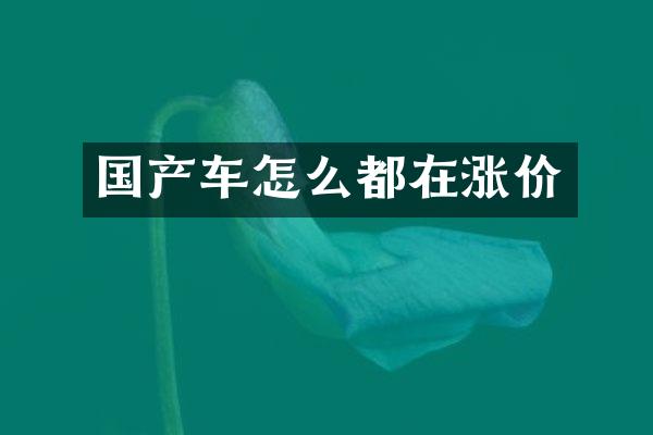 国产车怎么都在涨价