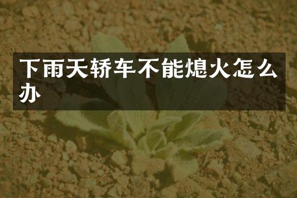 下雨天轿车不能熄火怎么办