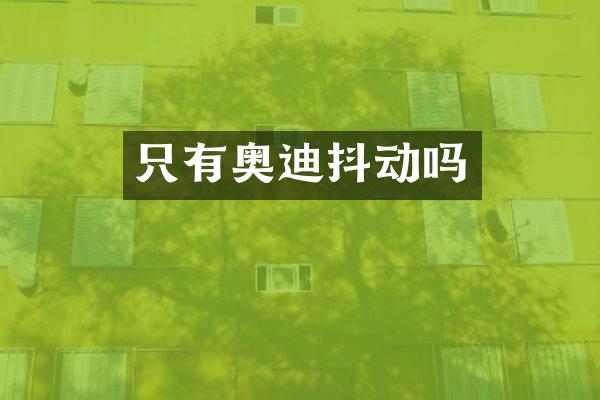 只有奥迪抖动吗