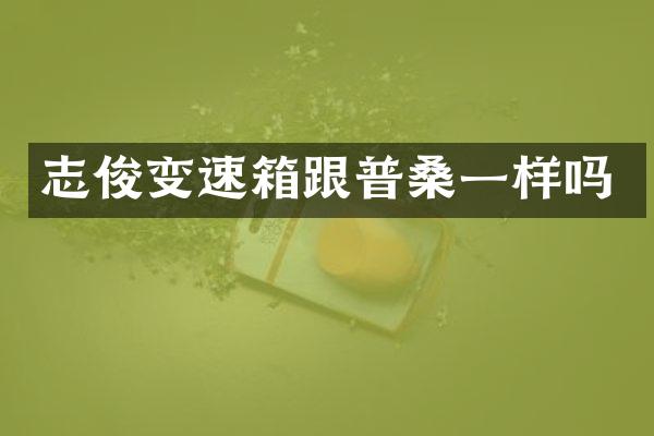 志俊变速箱跟普桑一样吗