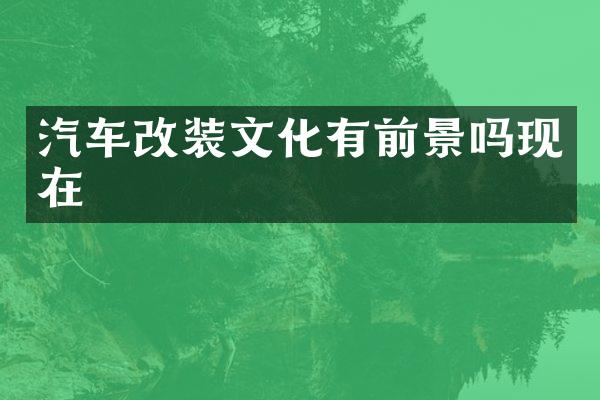 汽车改装文化有前景吗现在