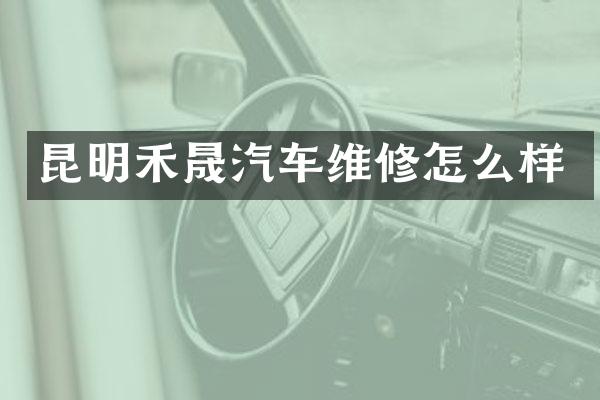昆明禾晟汽车维修怎么样
