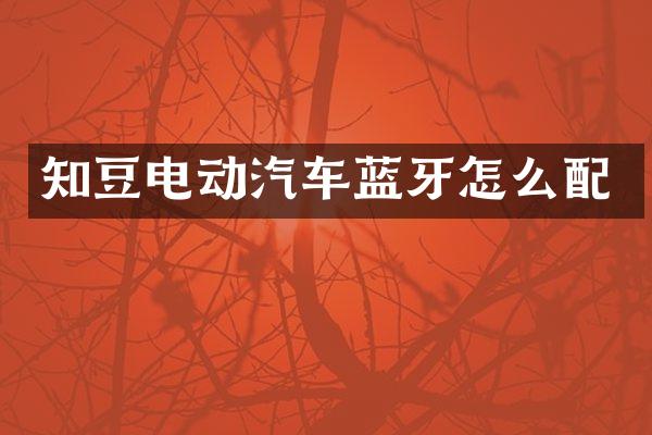 知豆电动汽车蓝牙怎么配