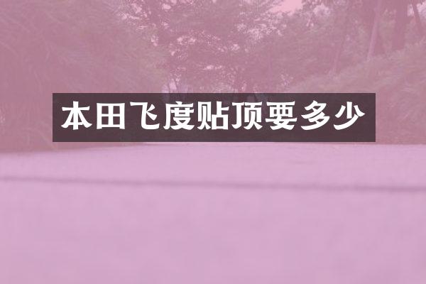 本田飞度贴顶要多少