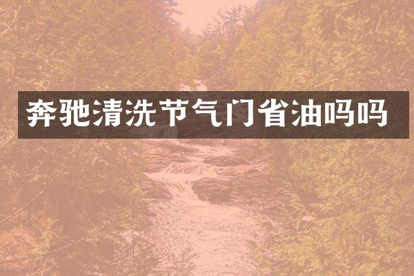 奔驰清洗节气门省油吗吗