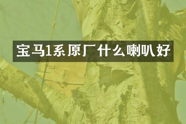 宝马1系原厂什么喇叭好