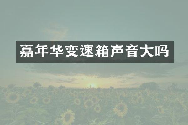 嘉年华变速箱声音大吗