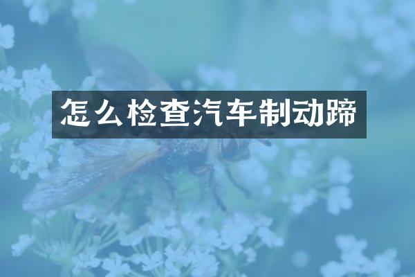 怎么检查汽车制动蹄