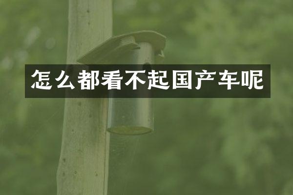 怎么都看不起国产车呢
