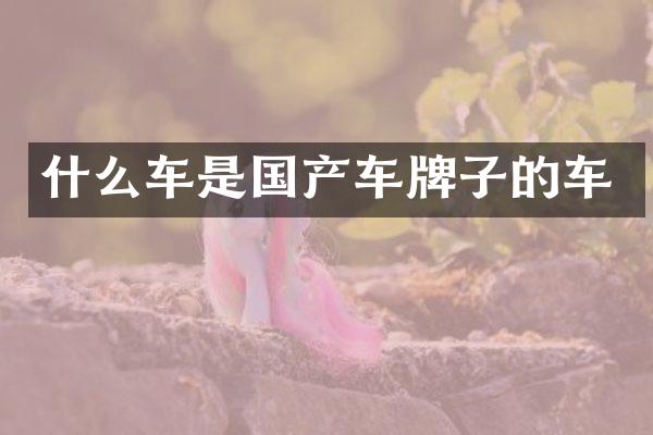 什么车是国产车牌子的车