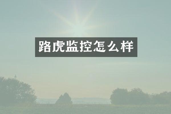 路虎监控怎么样