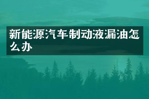 新能源汽车制动液漏油怎么办
