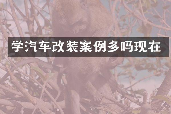 学汽车改装案例多吗现在