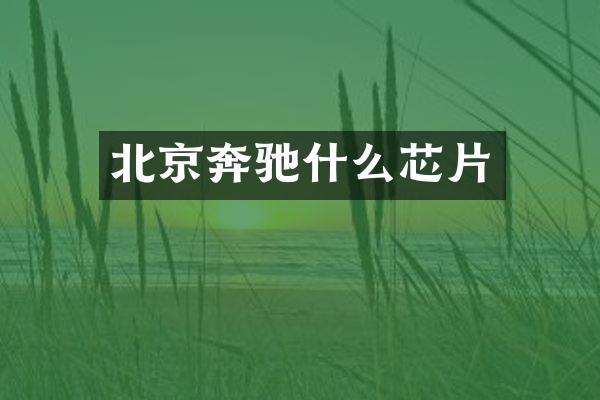北京奔驰什么芯片