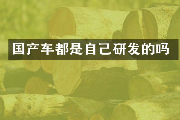 国产车都是自己研发的吗