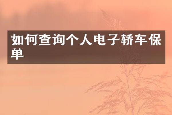 如何查询个人电子轿车保单
