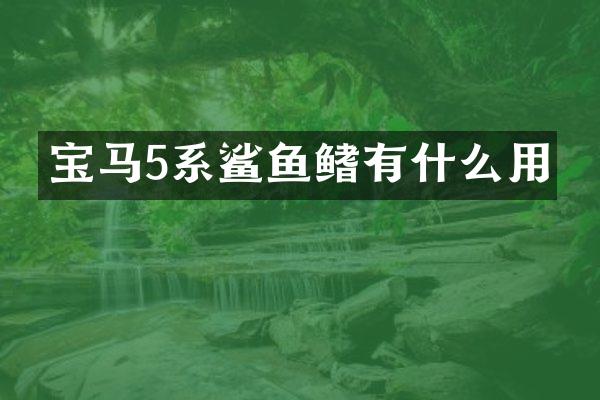 宝马5系鲨鱼鳍有什么用