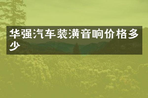 华强汽车装潢音响价格多少