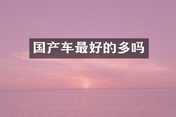 国产车最好的多吗