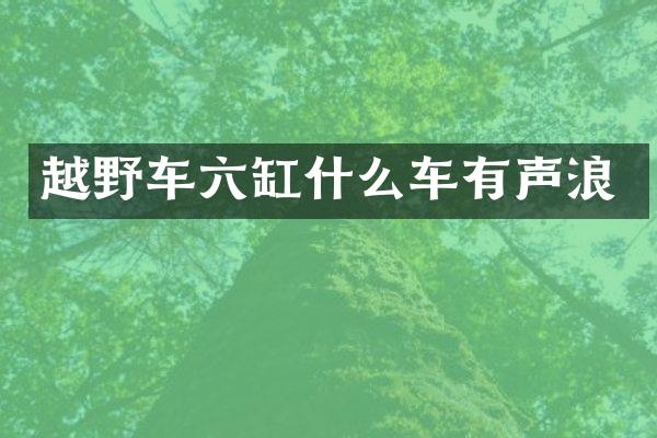 越野车六缸什么车有声浪