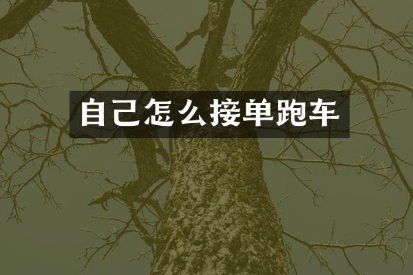 自己怎么接单跑车