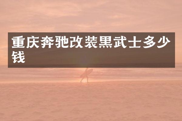 重庆奔驰改装黑武士多少钱