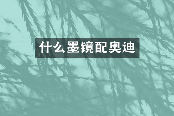 什么墨镜配奥迪