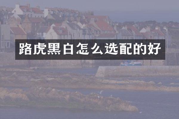路虎黑白怎么选配的好