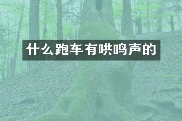 什么跑车有哄鸣声的