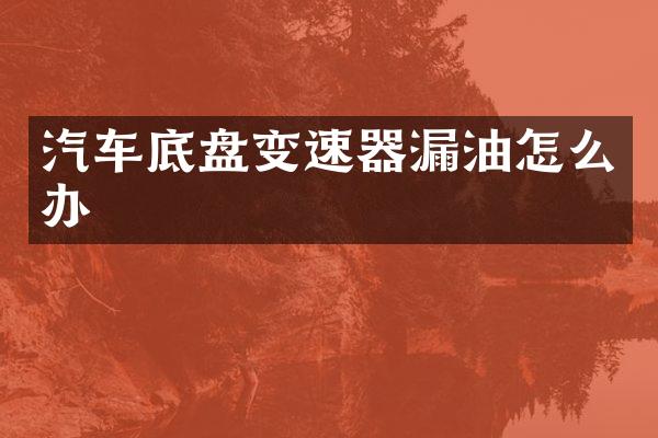 汽车底盘变速器漏油怎么办
