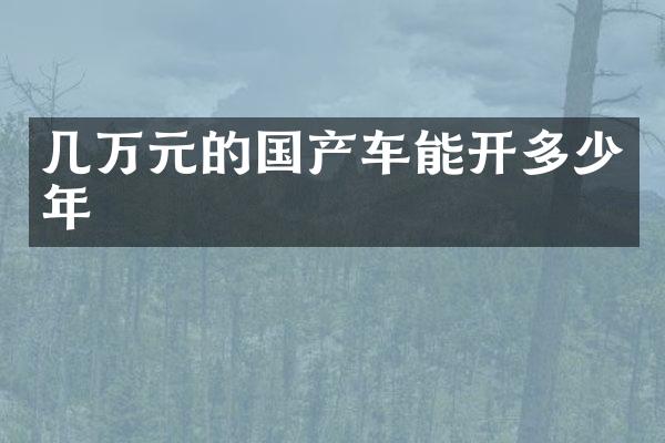 几万元的国产车能开多少年