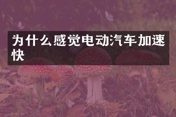 为什么感觉电动汽车加速快