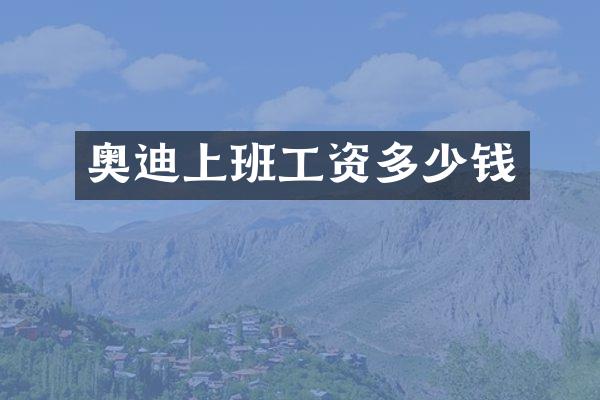 奥迪上班工资多少钱