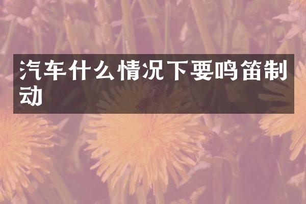 汽车什么情况下要鸣笛制动