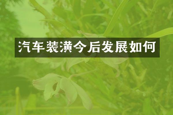汽车装潢今后发展如何