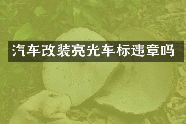 汽车改装亮光车标违章吗
