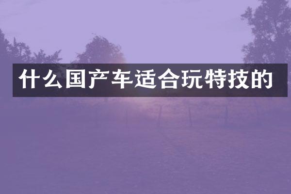 什么国产车适合玩特技的
