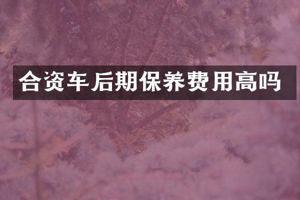 合资车后期保养费用高吗