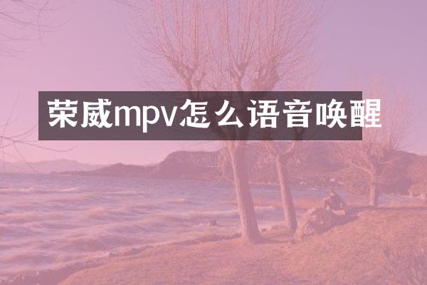 荣威mpv怎么语音唤醒