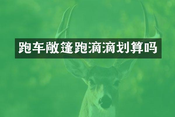 跑车敞篷跑滴滴划算吗