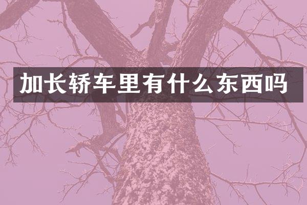 加长轿车里有什么东西吗