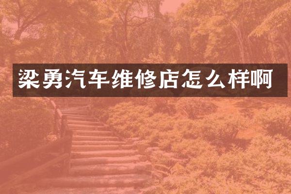 梁勇汽车维修店怎么样啊