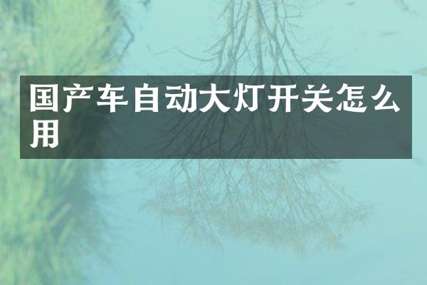国产车自动大灯开关怎么用