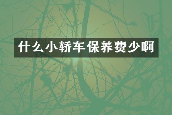 什么小轿车保养费少啊